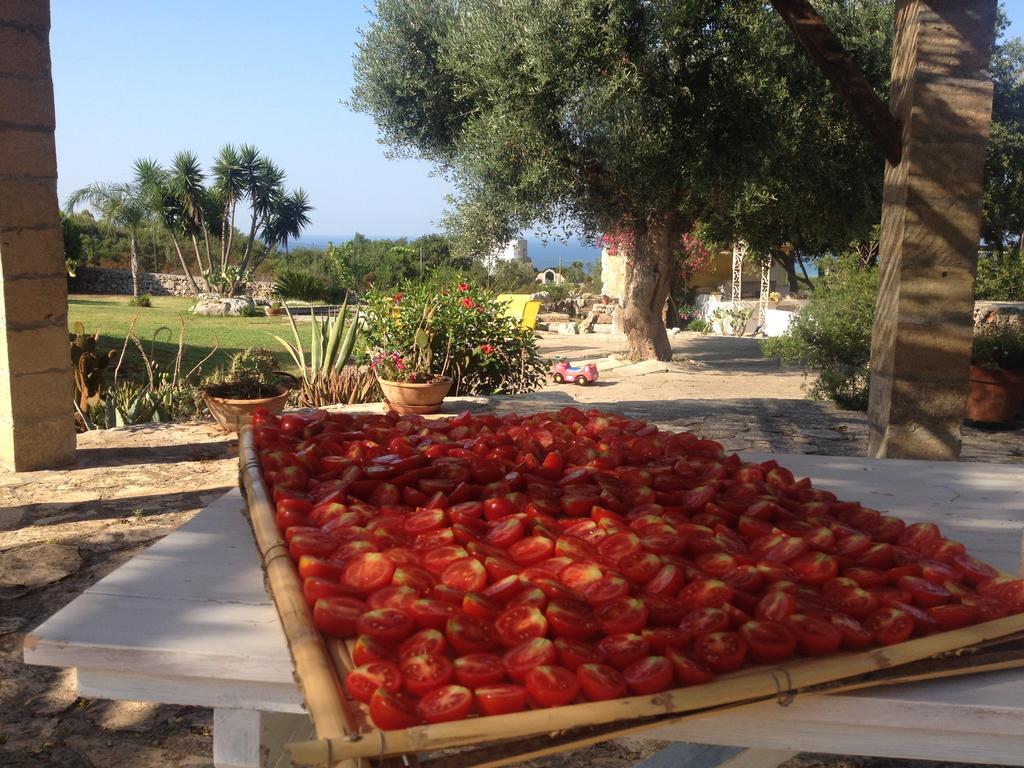 Bed and Breakfast Contrada Borgin Marina Di Pescoluse Exterior foto